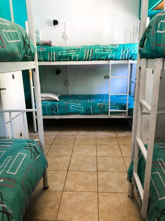 Hostel Punto Patagonico Neuquén Eksteriør billede